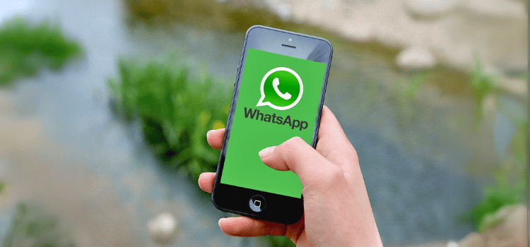 The Power of WhatsApp Marketing: Sell in Your Customer’s Pocket